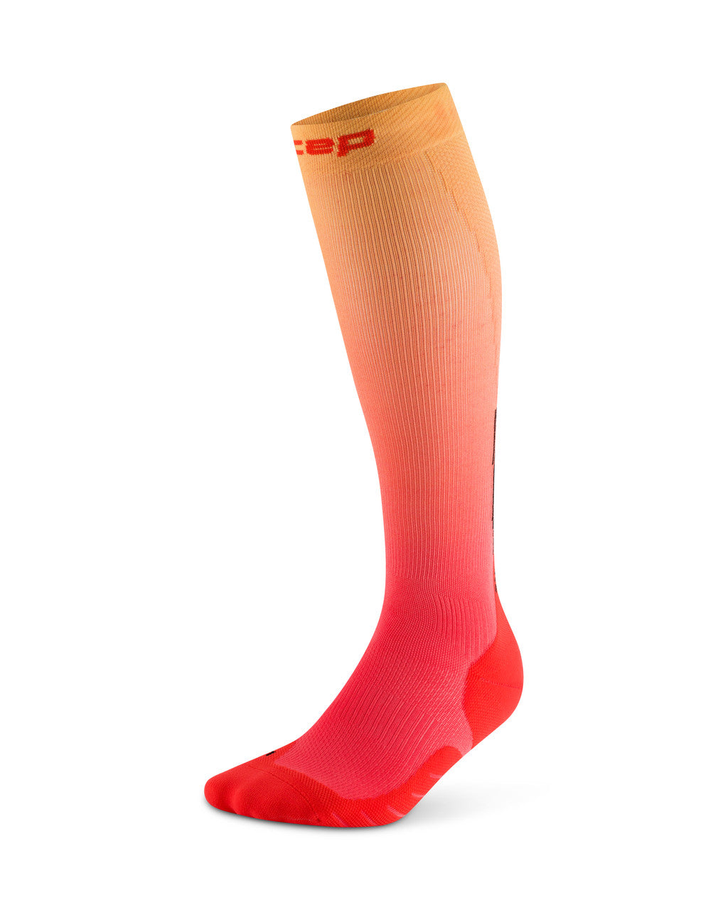 CEP 5.0 The Run Gradient Women Tall Socks